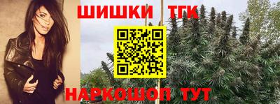 винт Лесосибирск