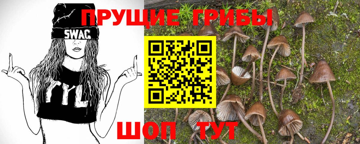 Тулун  Псилоцибиновые грибы мицелий  Вход с VPN 