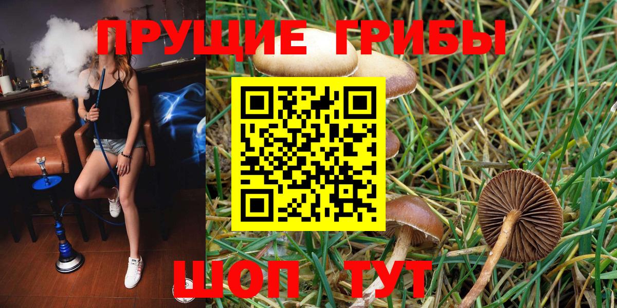 Галлюциногенные грибы MAGIC MUSHROOMS Тулун